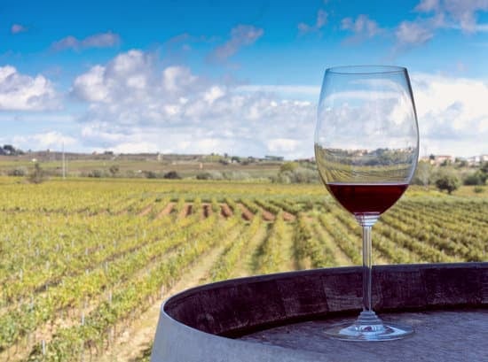 Die Herkunft des Merlot Weins: Eine perfekte Kombination für Neue Weintrinker